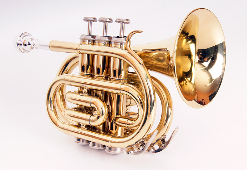 FLT-PT-L Труба компактная, Bb-key, лакированная, цвет - золото. Conductor от магазина Соло в Иркутске
