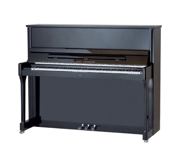 190045-1CK Performance P118 Пианино акустическое, черное, фурнитура хром, W.Steinberg от магазина Соло в Иркутске