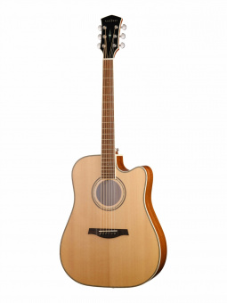 P660-WCASE-NAT Электро-акустическая гитара, дредноут с вырезом, с футляром, Parkwood от магазина Соло в Иркутске