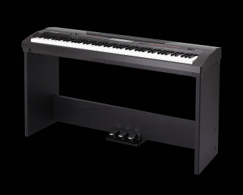 SP4200+stand Slim Piano Цифровое пианино со стойкой (2 коробки), Medeli от магазина Соло в Иркутске