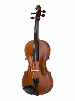 160A-4/4 Siena Скрипка студенческая 4/4, Strunal от магазина Соло в Иркутске