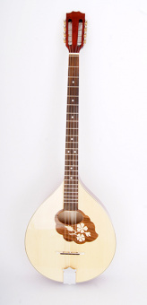 M1089 Irish Bouzouki Бузуки Hora от магазина Соло в Иркутске