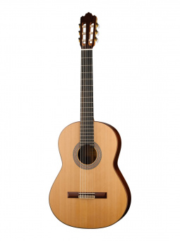 JMFSOLOIST700 Классическая гитара Soloist 700 4/4, Prodipe от магазина Соло в Иркутске