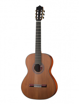 MC-48C Standard Series Классическая гитара, Martinez от магазина Соло в Иркутске