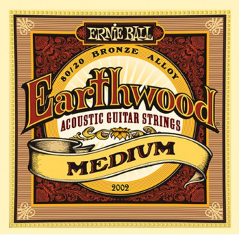 P02002 Earthwood Medium Комплект струн для акустической гитары, бронза, 13-56, Ernie Ball от магазина Соло в Иркутске
