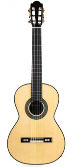 Torres-1859 Классическая гитара, с футляром, Martinez от магазина Соло в Иркутске