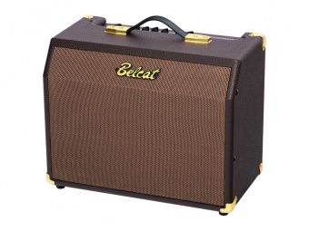 Acoustic-25RC Комбоусилитель для акустической гитары, 25Вт, реверберация и хорус, Belcat от магазина Соло в Иркутске