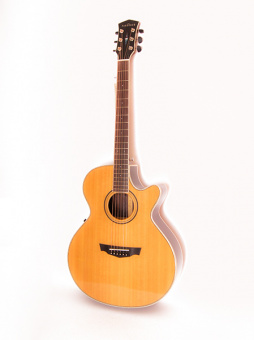 PW-570 Акустическая гитара, с чехлом, Parkwood от магазина Соло в Иркутске