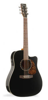 028054 Protege B18 CW Cedar Black Электро-акустическая гитара, Norman от магазина Соло в Иркутске