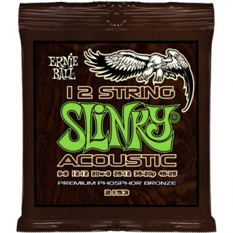 P02153 Slinky Комплект струн для 12-струнной акустической гитары, фосфор/бронза, 9-46, Ernie Ball от магазина Соло в Иркутске