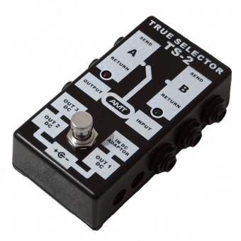 TS-2 TRUE SELECTOR Пассивный двухканальный коммутатор (селектор), AMT Electronics от магазина Соло в Иркутске