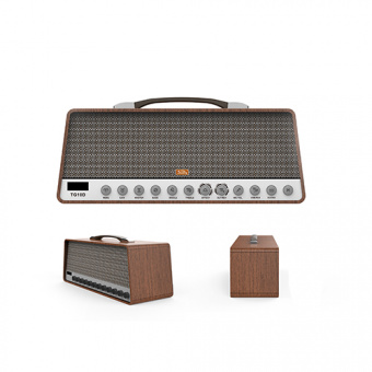 TG10D Комбоусилитель гитарный с цифровыми эффектами и USB, 20Вт, Soundking от магазина Соло в Иркутске