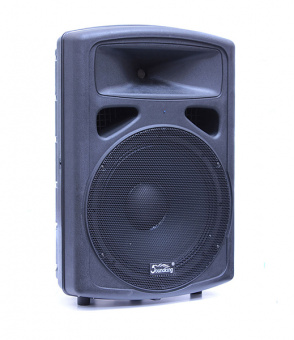 FP0215 Пассивная акустическая система, 225Вт, Soundking от магазина Соло в Иркутске