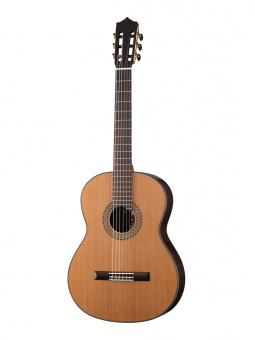 MC-88C Standard Series Классическая гитара, Martinez от магазина Соло в Иркутске