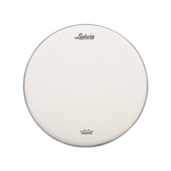 LW110RAC Ambassador Пластик для барабана 10", с покрытием, Ludwig от магазина Соло в Иркутске