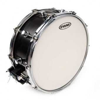 B14STD ST Dry Пластик для малого барабана 14", Evans от магазина Соло в Иркутске