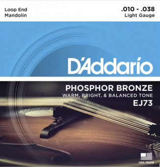 EJ73 Комплект струн для мандолины, фосф.бронза, Light, 10-38, D'Addario от магазина Соло в Иркутске