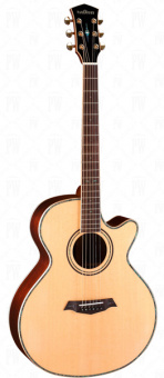 P870 Электро-акустическая гитара, с вырезом, с футляром, Parkwood от магазина Соло в Иркутске