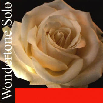 410521 Wondertone Solo Комплект струн для скрипки (синтетика), Pirastro от магазина Соло в Иркутске