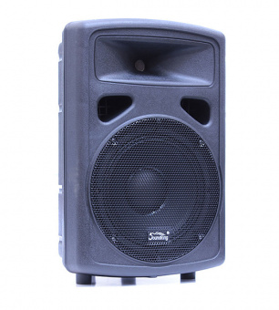 FP0210 Пассивная акустическая система, 200Вт, Soundking от магазина Соло в Иркутске