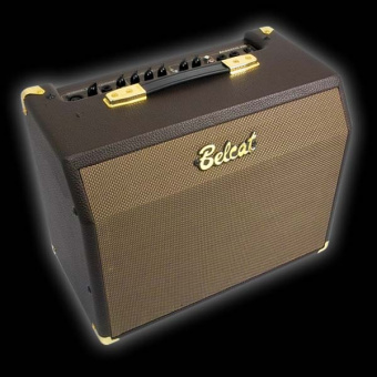 Acoustic-25C Комбоусилитель для акустической гитары, 25Вт, с эффектом хорус, Belcat от магазина Соло в Иркутске