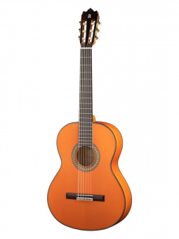 8.209 Flamenco Conservatory 4F Классическая гитара, защитная накладка, Alhambra от магазина Соло в Иркутске