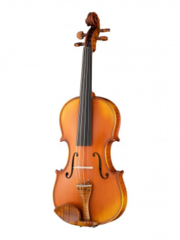 PG-V044-A Professional Gama Genova Скрипка 4/4, Gliga от магазина Соло в Иркутске