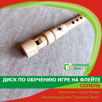 ГЗУД001 Учебник + диск с видеоуроками по Сопели, Гармония Звука от магазина Соло в Иркутске
