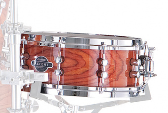 17316926 ASC 11 1455 SDW 13077 Ascent Малый барабан 14'' x 5,5'', цвет натуральный, Sonor от магазина Соло в Иркутске
