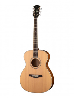 S62 Акустическая гитара, с чехлом, Parkwood от магазина Соло в Иркутске