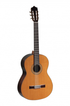 Bass Special Series Классическая гитара, Martinez от магазина Соло в Иркутске