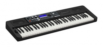 CT-S500 Синтезатор 61 клавиша, черный, Casio от магазина Соло в Иркутске