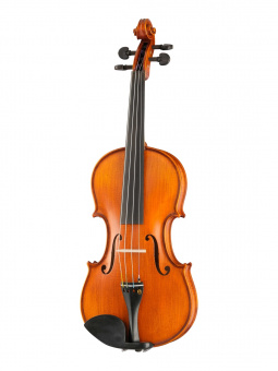PU-V044-GI Professional Gama Unique Willow Скрипка 4/4, Gliga от магазина Соло в Иркутске